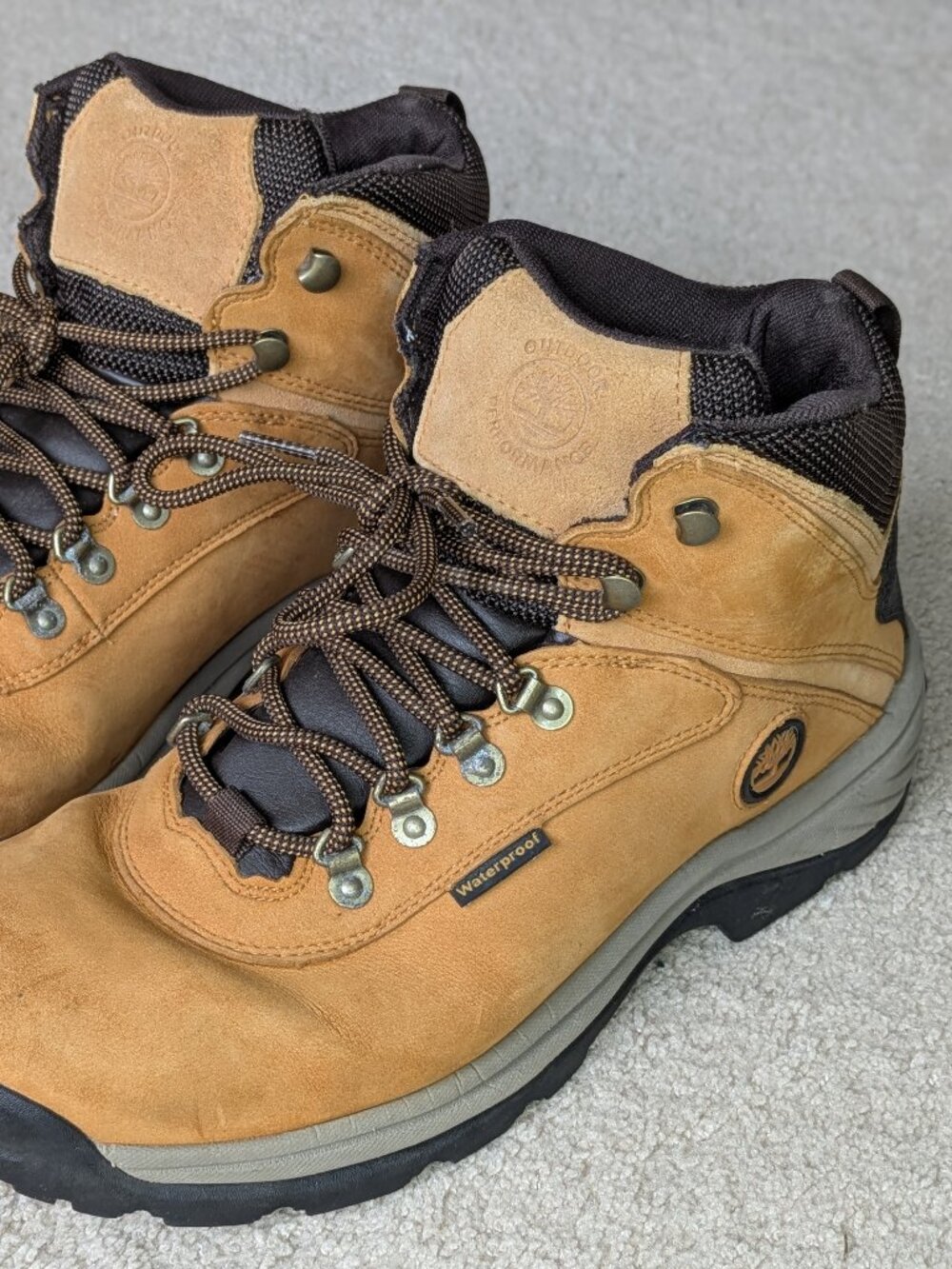 Timberland White Ledge Mid Leather Waterproof Hiking Shoes (men's 11)